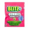 Blitz By Mr. Mushie | Watermelon Rancher |3600mg Shroom | 400MG D9