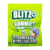 Blitz By Mr. Mushie | Strawberry Kiwi Lime | 3600mg Shroom | 400MG D9